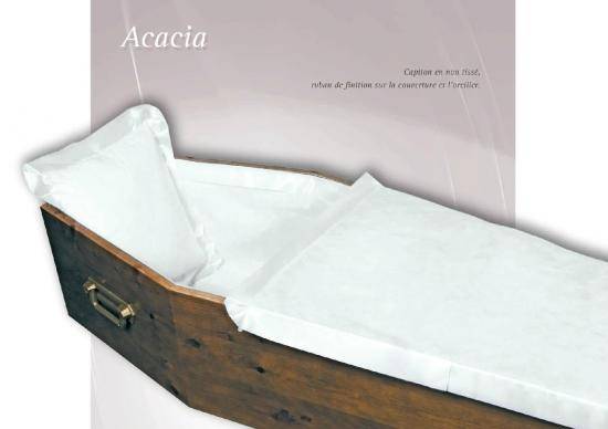 Acacia
