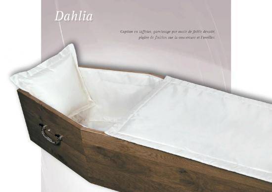 Dahlia