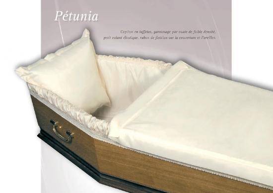 Pétunia