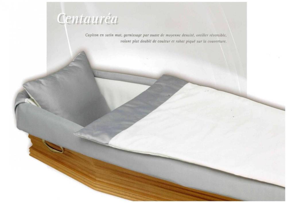 Centauréa