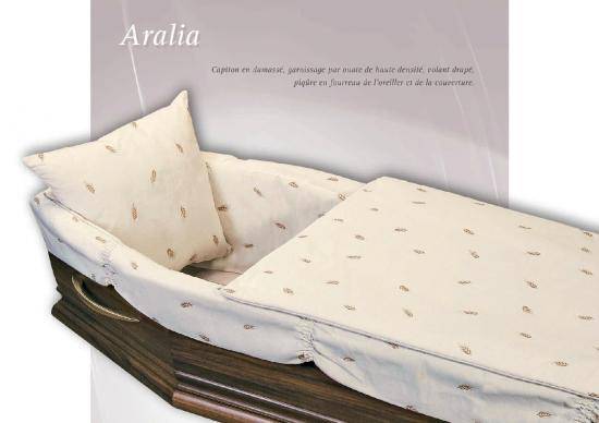 Aralia