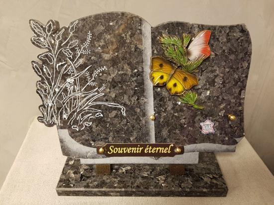 plaque livre