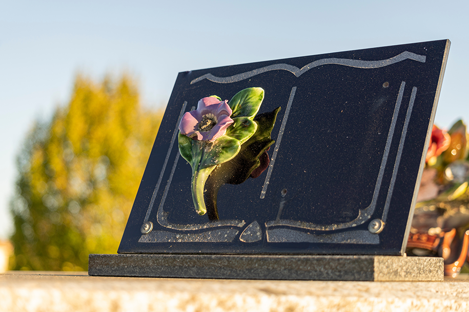 plaque livre