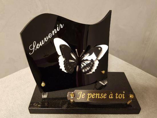 plaques atuglass papillon