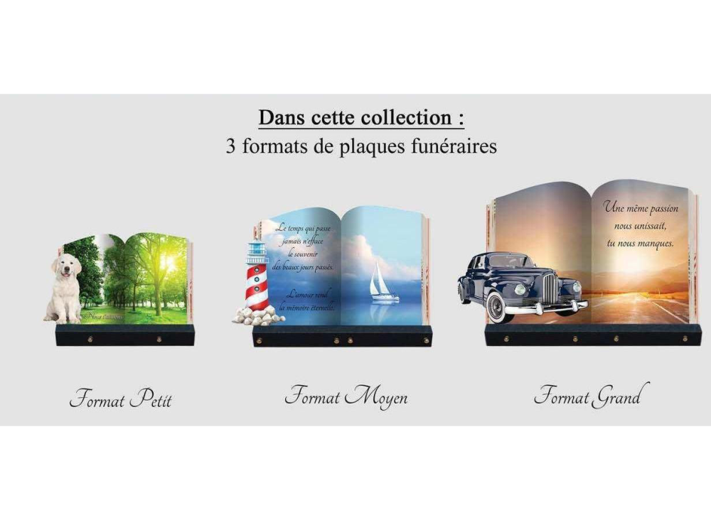 collection livre.jpg