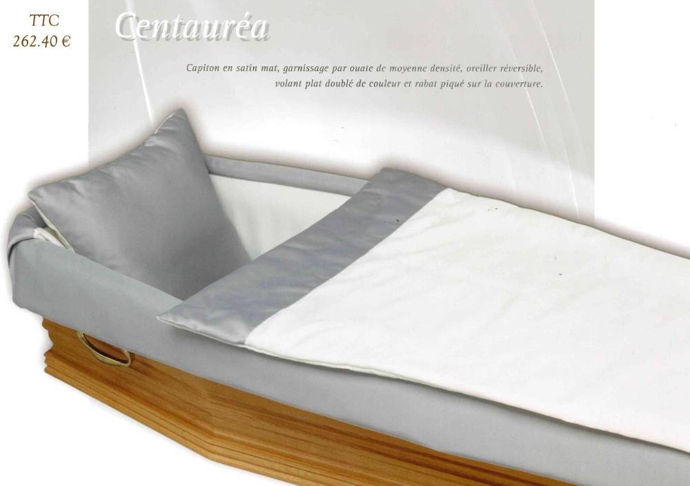 6 CENTAUREA GRIS  262.40 €