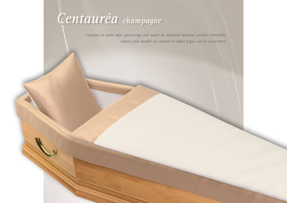 7 Centauréa Champagne
