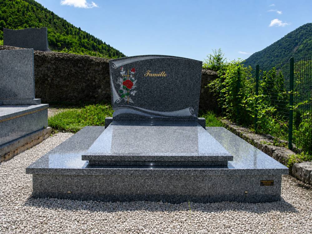 photo 61 reveau
